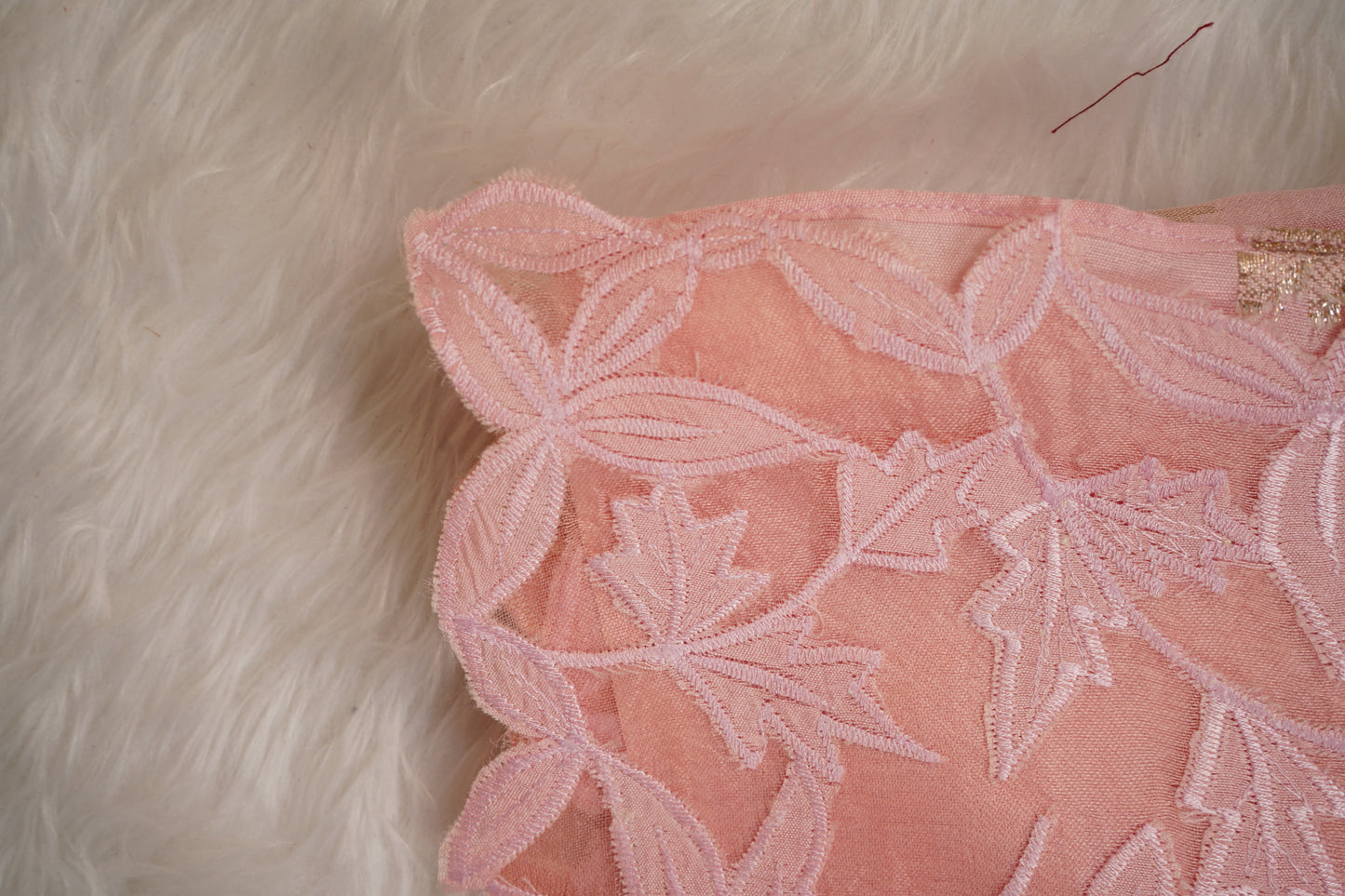 Tussar tissue Saree with a Self-Embroidery Border- Light Pink