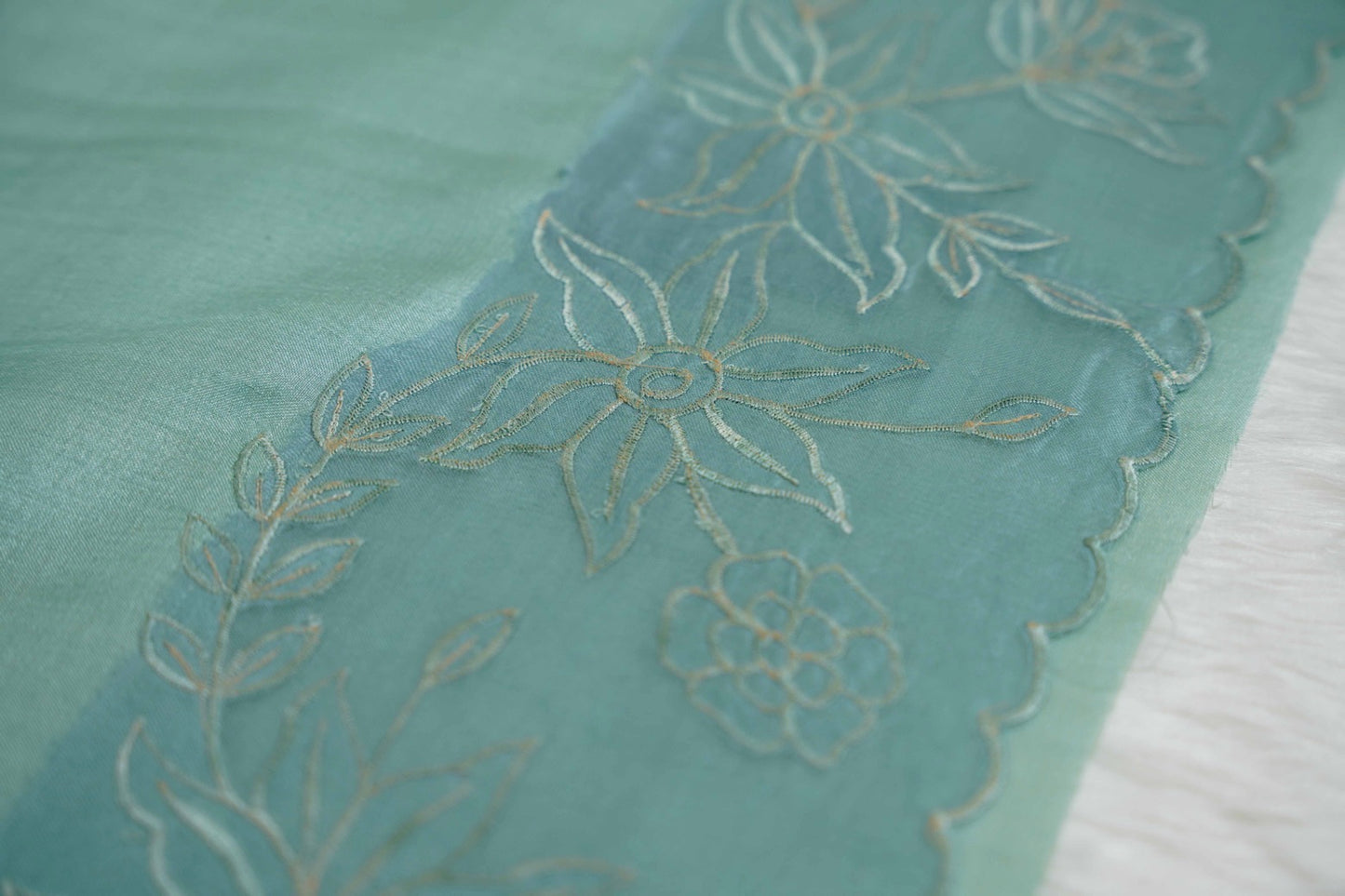 Tussar Applique Organza Border Saree in Light Green