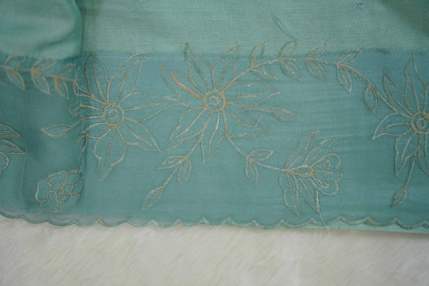 Tussar Applique Organza Border Saree in Light Green