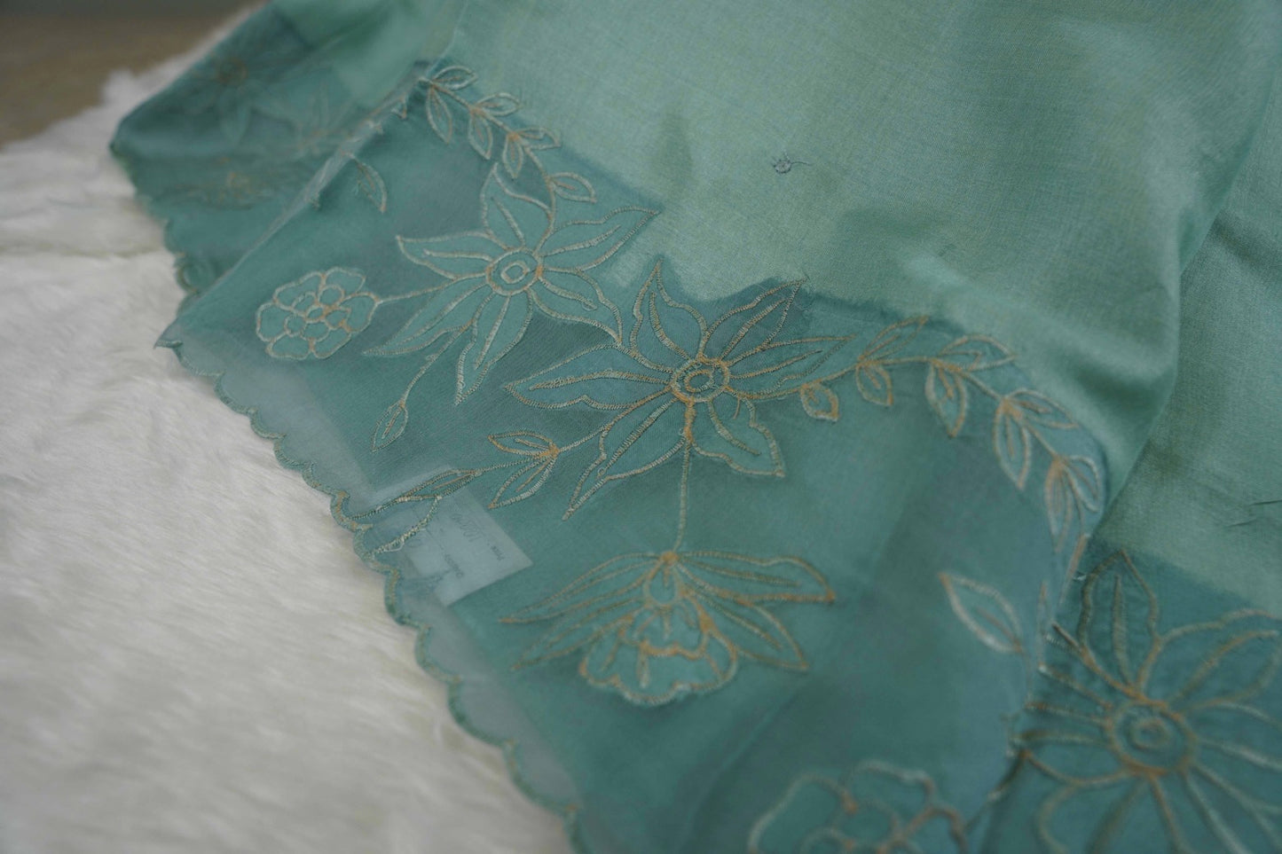 Tussar Applique Organza Border Saree in Light Green