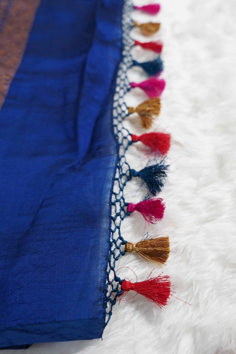 Brocade Banaras Velvet motifs-Blue