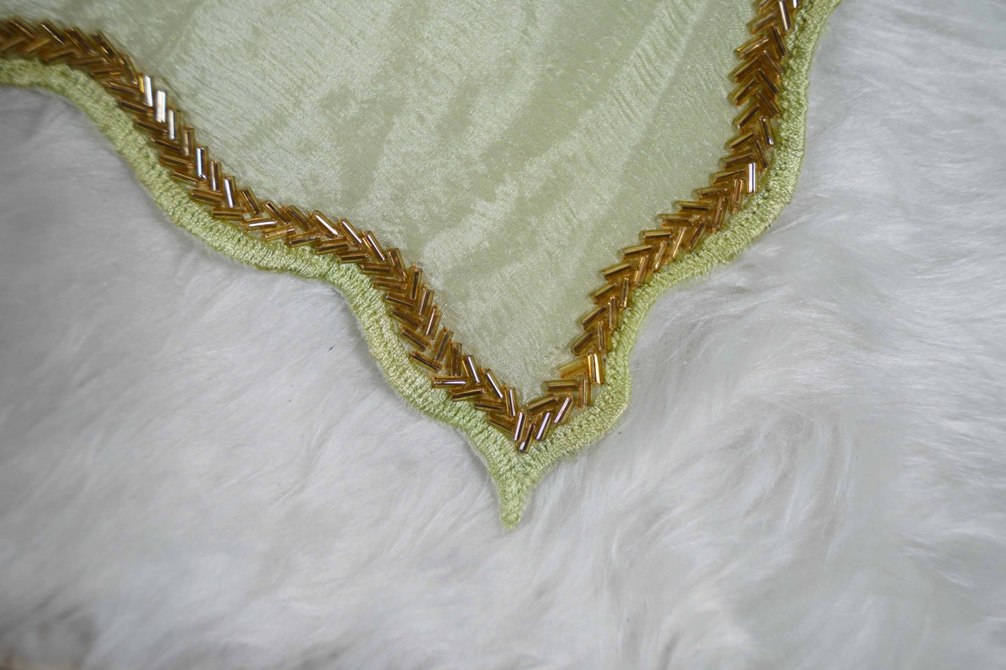 Magnolia Painted Chinon Chiffon Saree in Pastel Green