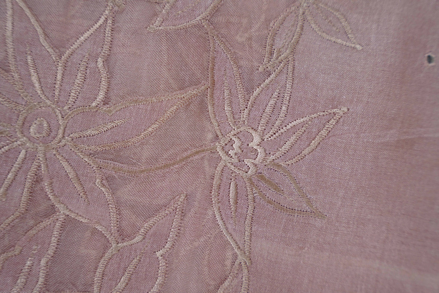 Tussar Applique Organza Border Saree in Light Pink