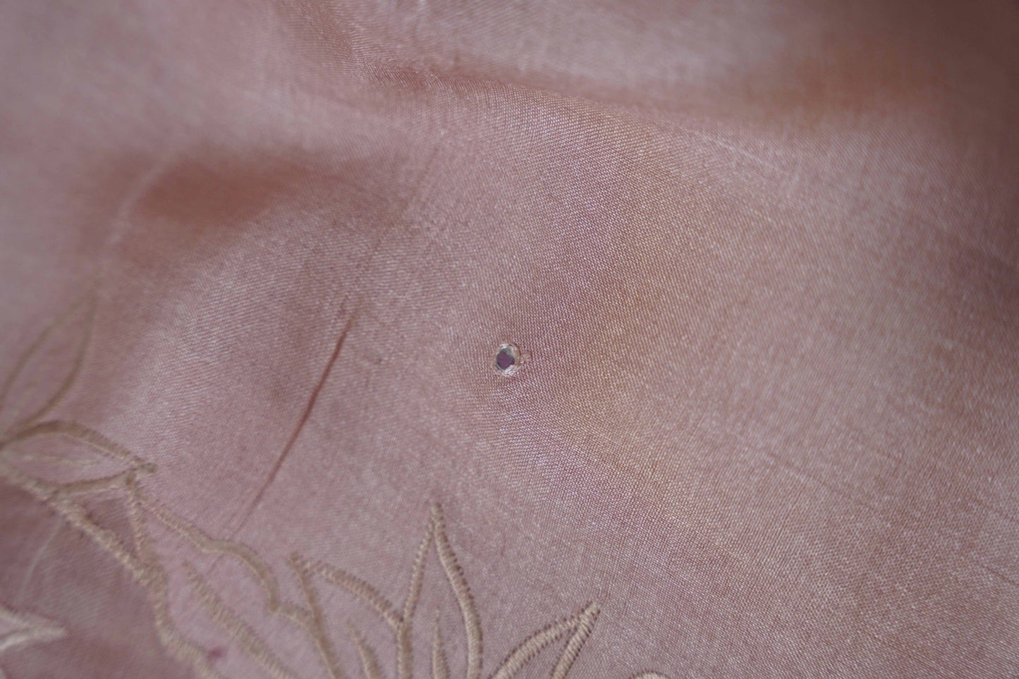 Tussar Applique Organza Border Saree in Light Pink