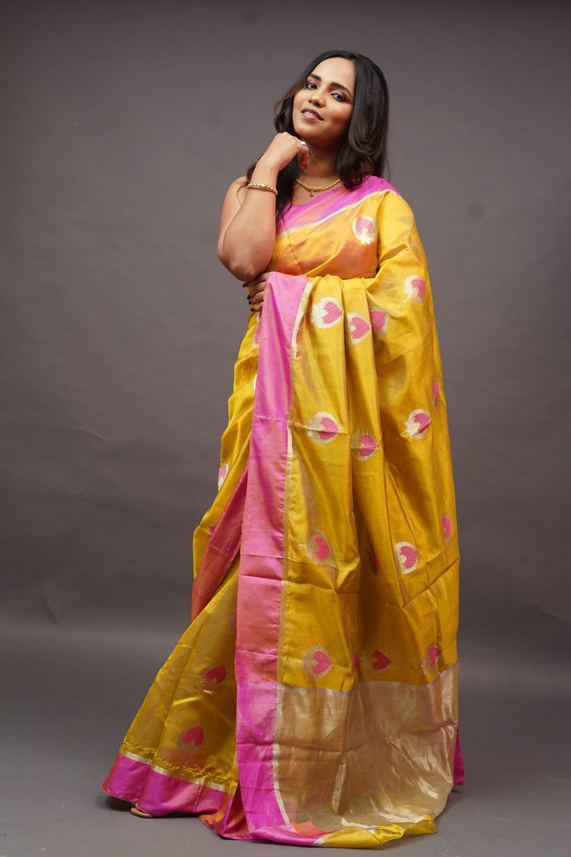 Mustard with Pink Border Saree