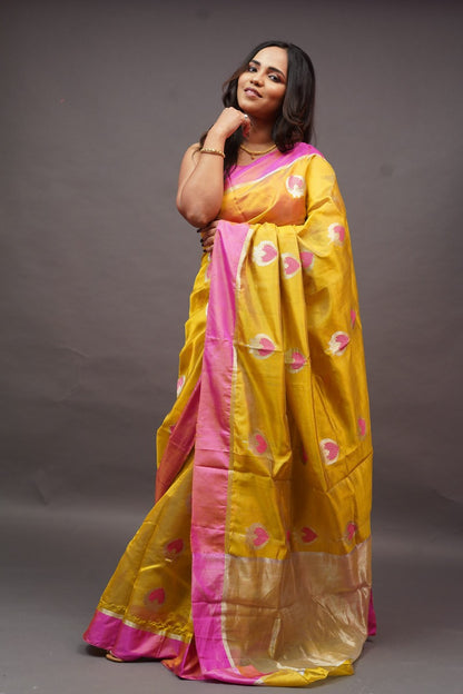 Mustard with Pink Border Saree