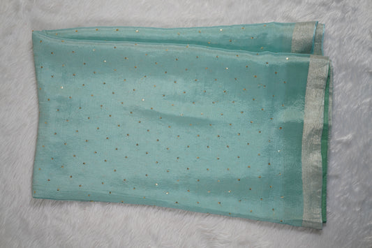 Chinnon Silk with mukesh work and floral blouse-Light Blue