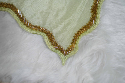 Magnolia Painted Chinon Chiffon Saree in Pastel Green