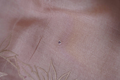 Tussar Applique Organza Border Saree in Light Pink