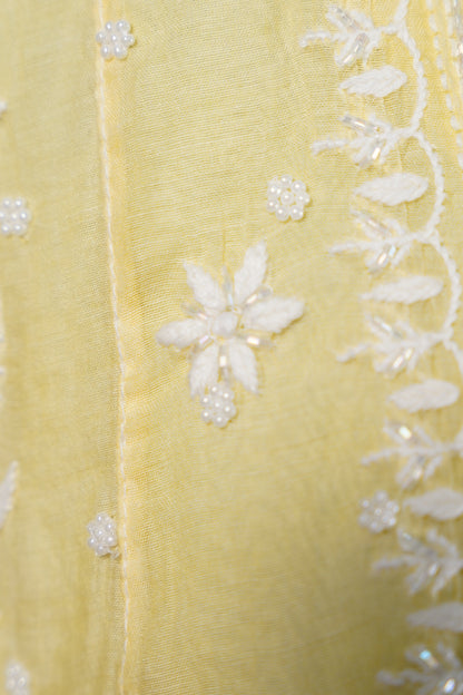 Yellow chikankari Dress
