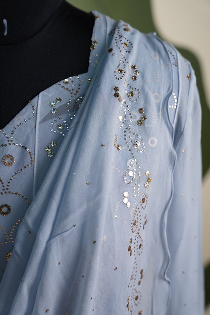 Powder Blue chikankari Dress