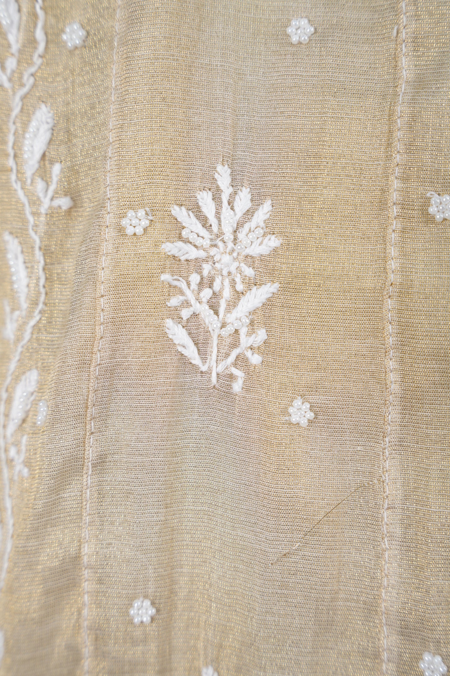Light Beige chikankari Dress