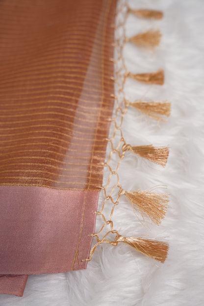 Banaras Tissue with Satin border - pink