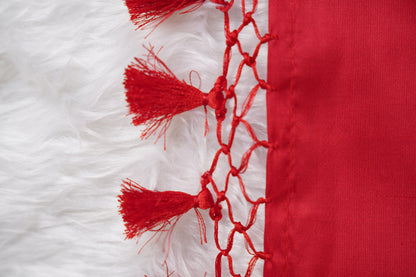 Red Banarasi birdcage