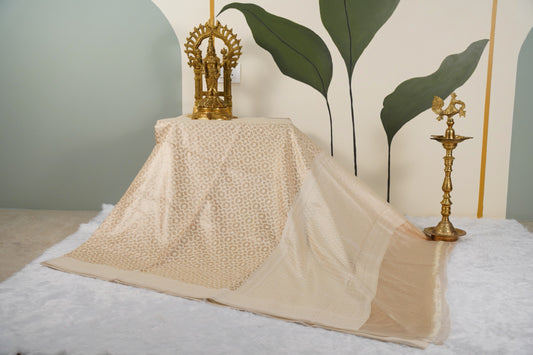 Cream Banarasi with contrast back velvet blouse