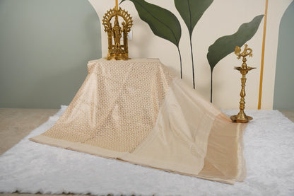 Cream Banarasi with contrast back velvet blouse