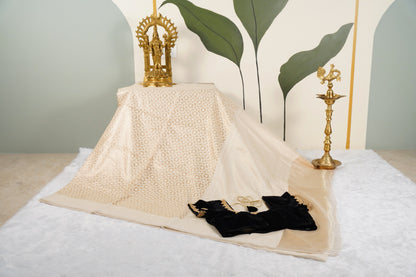 Cream Banarasi with contrast back velvet blouse