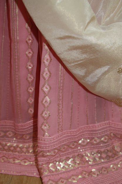 Light pink Chikankari Lehenga with Sequin Work & Cream Tissue Dupatta