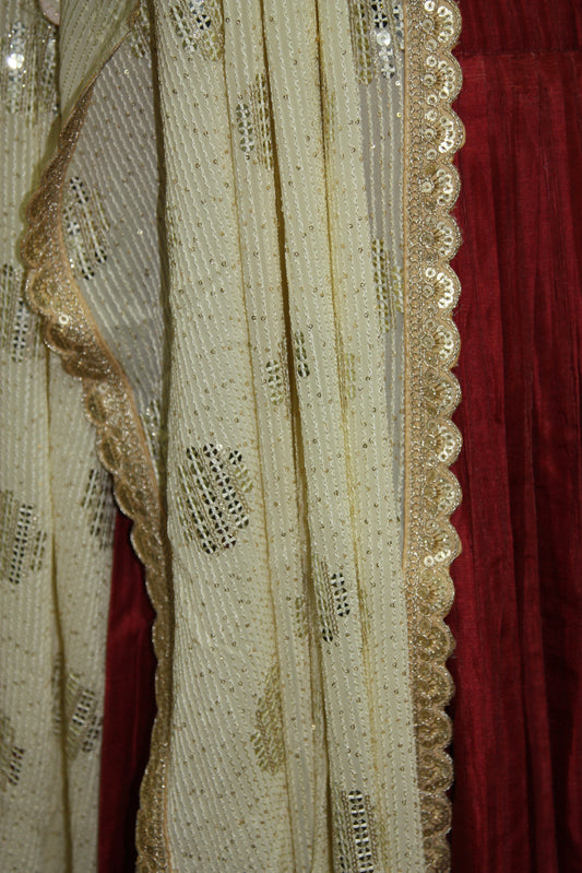 Maroon Tussar Lehenga with Kalamkari Border & Blouse