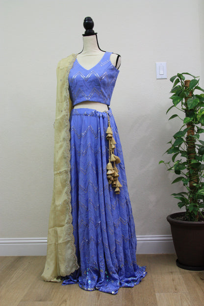 Blue Chikankari Lehenga with Sequin Work & Cream Tissue Dupatta