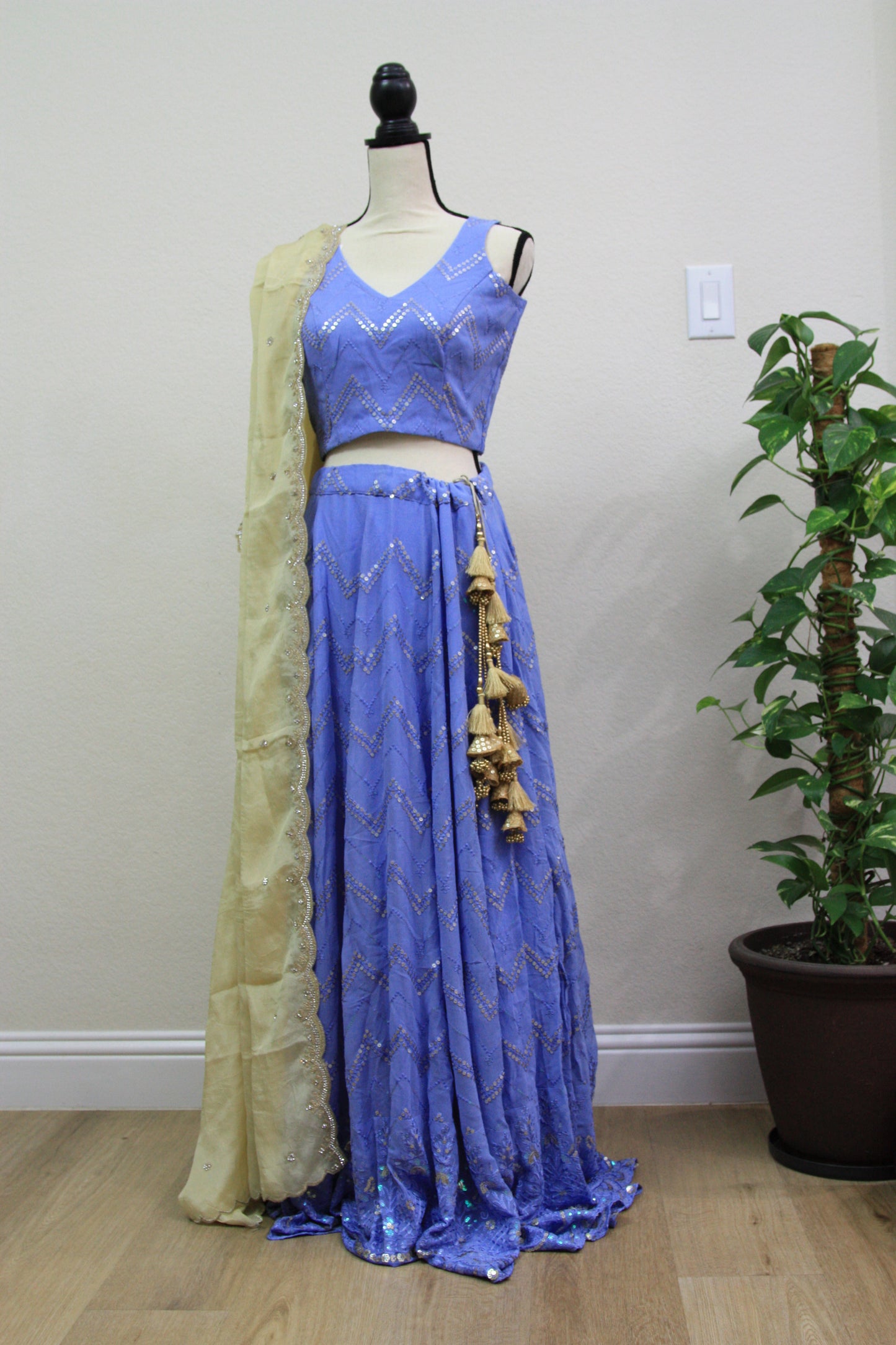 Blue Chikankari Lehenga with Sequin Work & Cream Tissue Dupatta