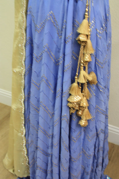 Blue Chikankari Lehenga with Sequin Work & Cream Tissue Dupatta