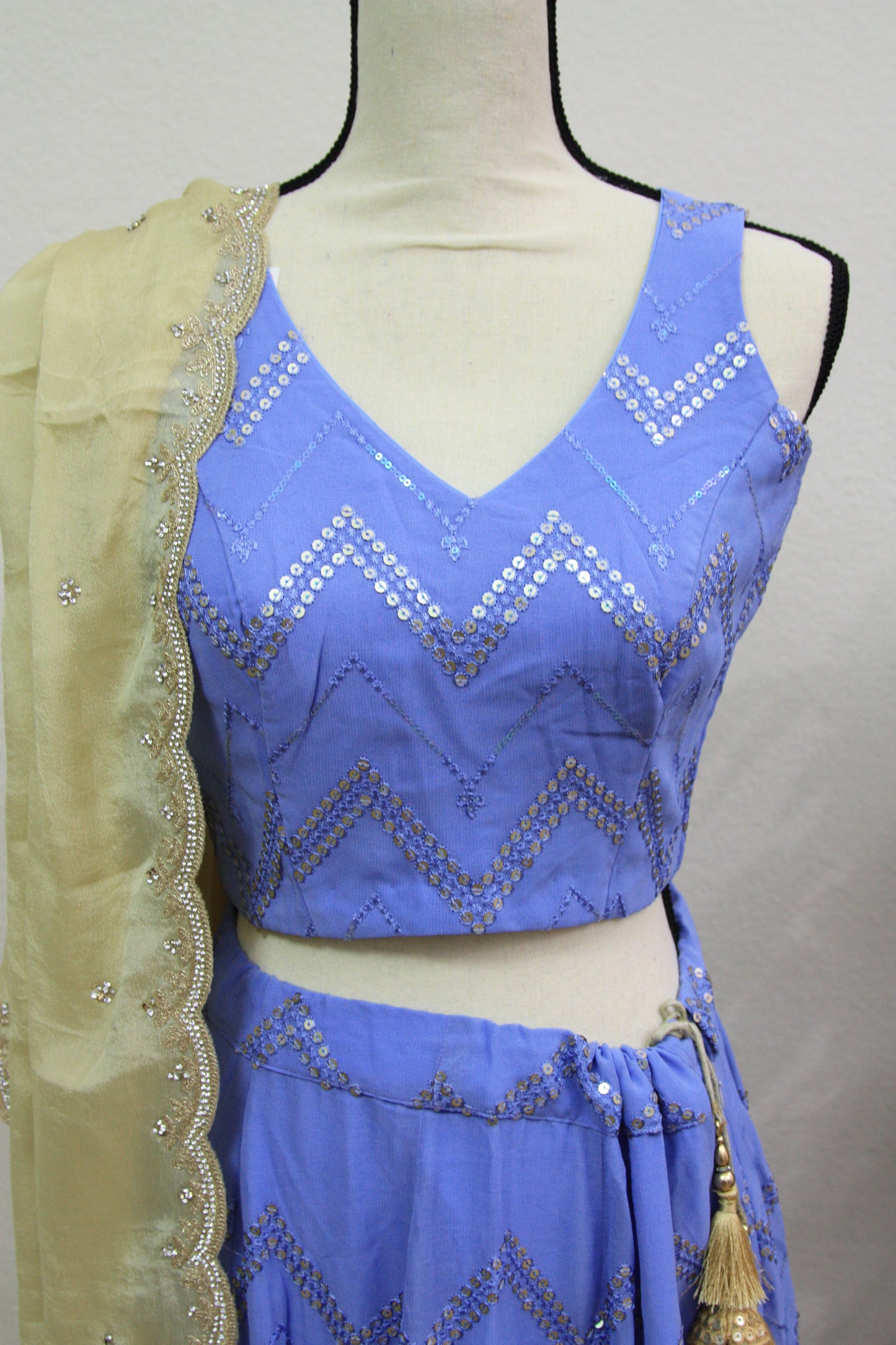 Blue Chikankari Lehenga with Sequin Work & Cream Tissue Dupatta