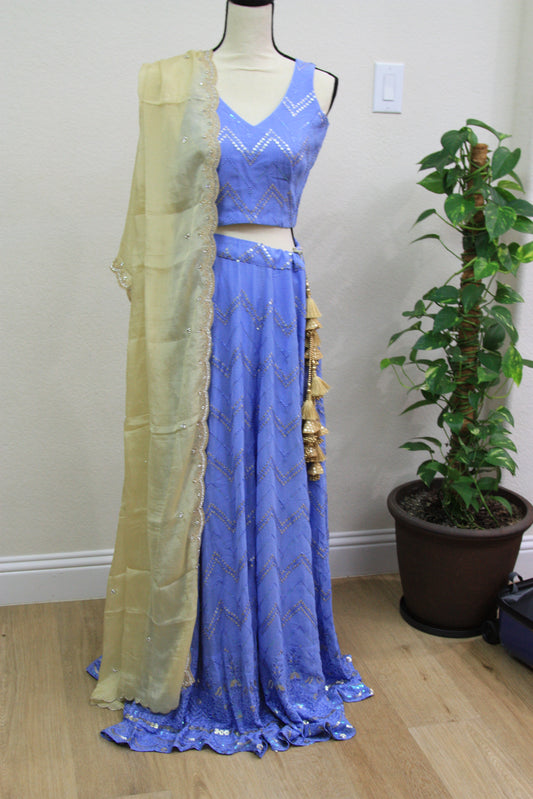 Blue Chikankari Lehenga with Sequin Work & Cream Tissue Dupatta