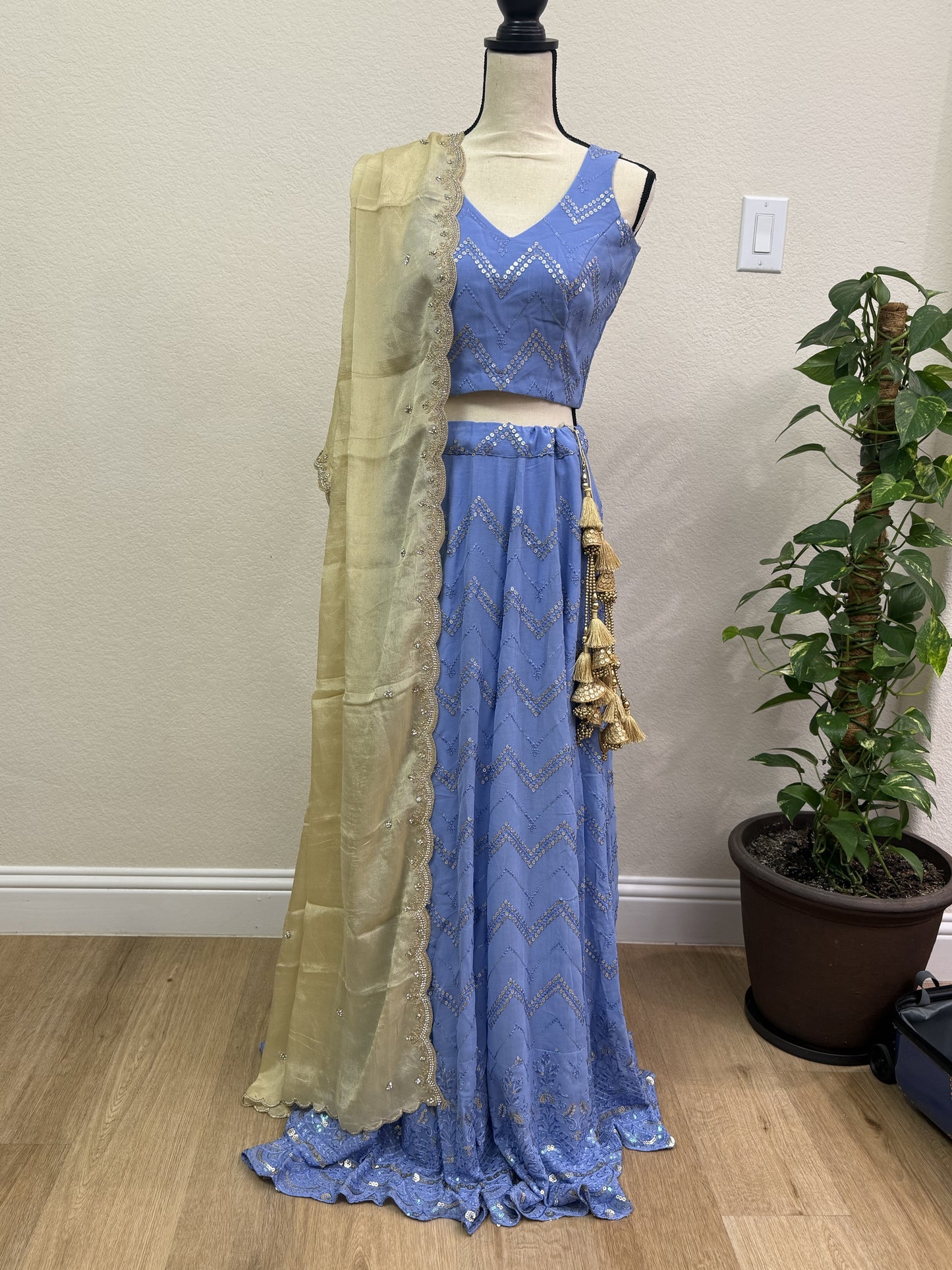 Blue Chikankari Lehenga with Sequin Work & Cream Tissue Dupatta