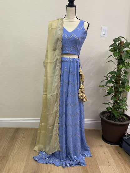Blue Chikankari Lehenga with Sequin Work & Cream Tissue Dupatta