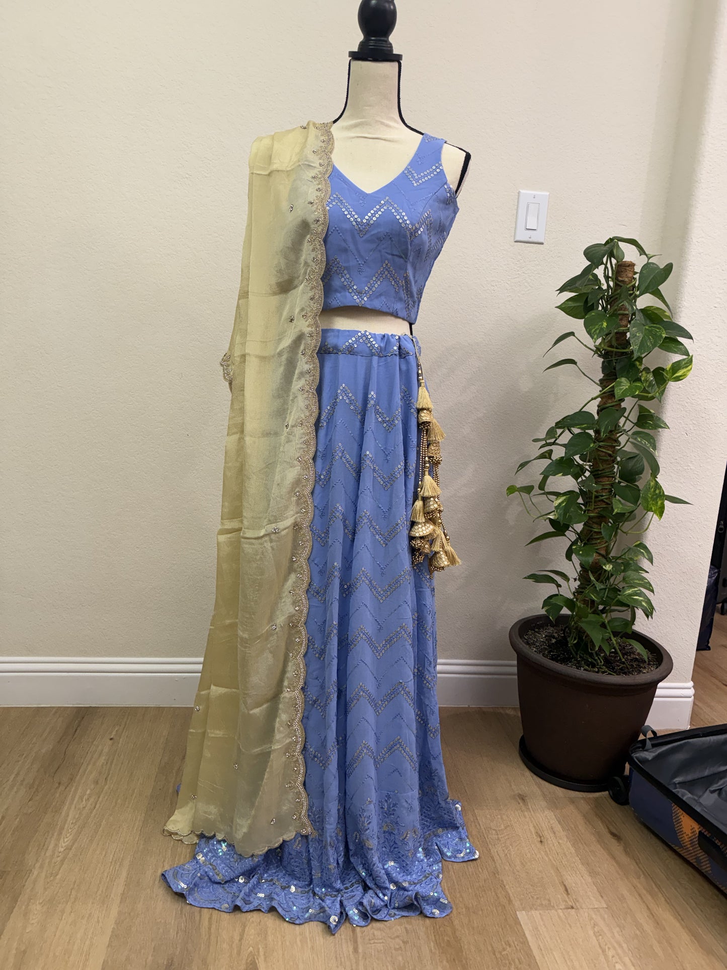 Blue Chikankari Lehenga with Sequin Work & Cream Tissue Dupatta