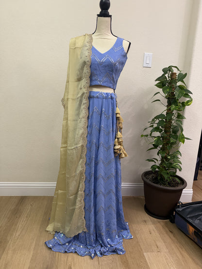 Blue Chikankari Lehenga with Sequin Work & Cream Tissue Dupatta