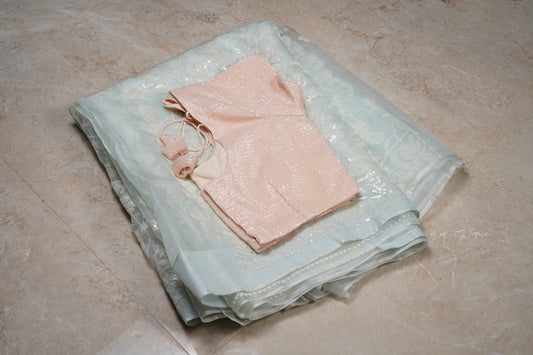 Organza Cutdana Baby Blue Saree