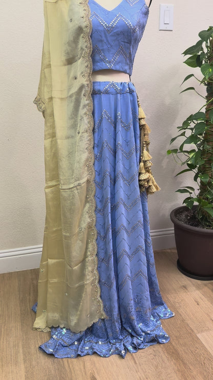 Blue Chikankari Lehenga with Sequin Work & Cream Tissue Dupatta